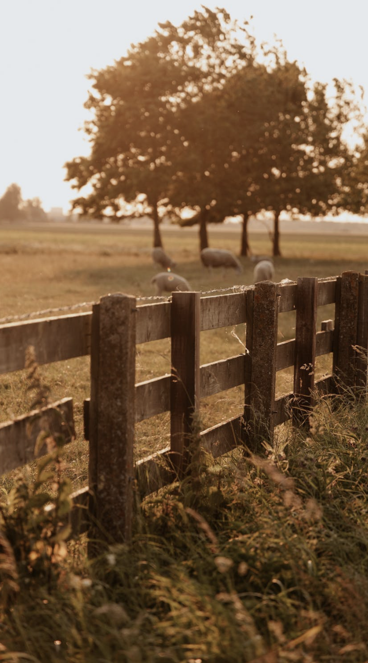 fence9